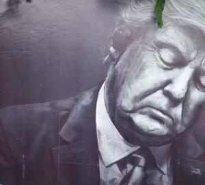 35162800150_a9f356a7f5_k-e1499711357155-Preview