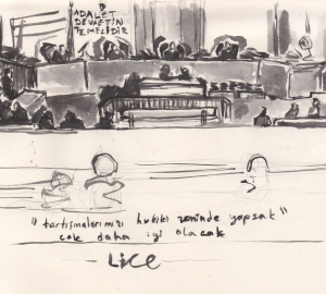 Lice Davası İzleme Raporu – 16 Şubat 2017