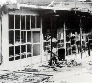 27 yıldır kuş konacak dal yok Lice’de!!