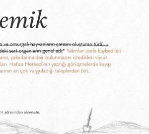 Kayıp yakınlarının lügatında zorla kaybetmeler