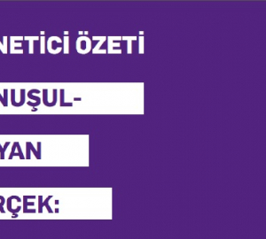 yonetici-ozeti