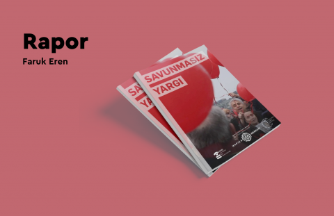 New Report: A Defenseless Defense